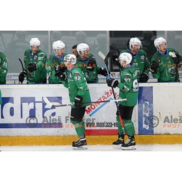 Aleksander Magovac during Alps league ice-hockey match between Acroni Jesenice and SZ Olimpija in Podmezakla Hall, Jesenice, Slovenia on October 8, 2020