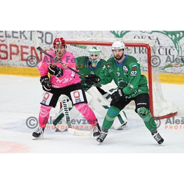 during Alps league ice-hockey match between Acroni Jesenice and SZ Olimpija in Podmezakla Hall, Jesenice, Slovenia on October 8, 2020