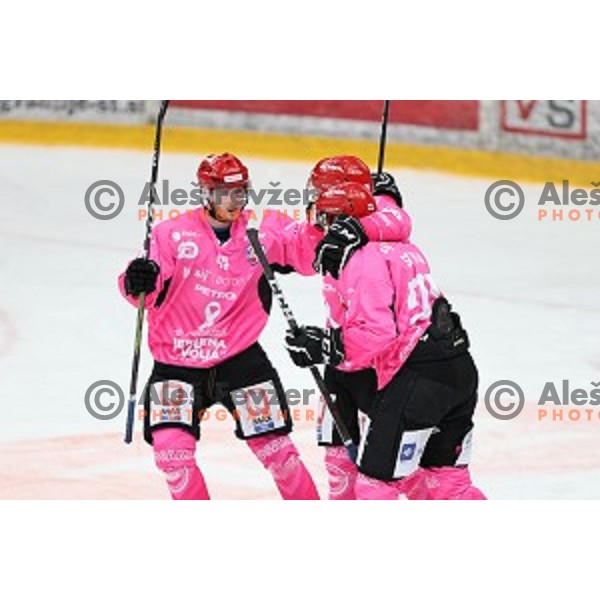 during Alps league ice-hockey match between Acroni Jesenice and SZ Olimpija in Podmezakla Hall, Jesenice, Slovenia on October 8, 2020