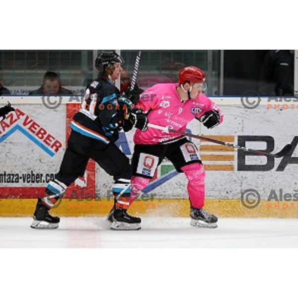 Patrik Rajsar of SIJ Acroni Jesenice during Alps league ice-hockey match between SIJ Acroni Jesenice and Steel Wings Linz in Podmezakla Hall, Jesenice, Slovenia on October 10, 2020