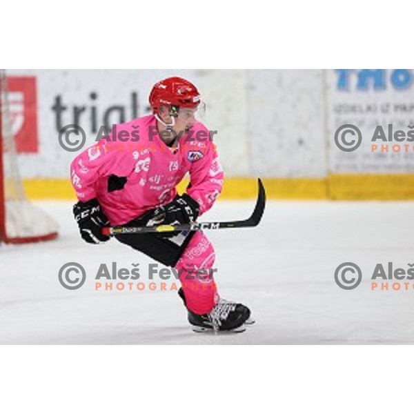 Gasper Sersen of SIJ Acroni Jesenice during Alps league ice-hockey match between SIJ Acroni Jesenice and Steel Wings Linz in Podmezakla Hall, Jesenice, Slovenia on October 10, 2020