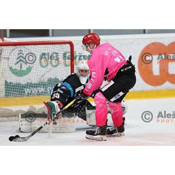 Gasper Sersen of SIJ Acroni Jesenice scores goal during Alps league ice-hockey match between SIJ Acroni Jesenice and Steel Wings Linz in Podmezakla Hall, Jesenice, Slovenia on October 10, 2020