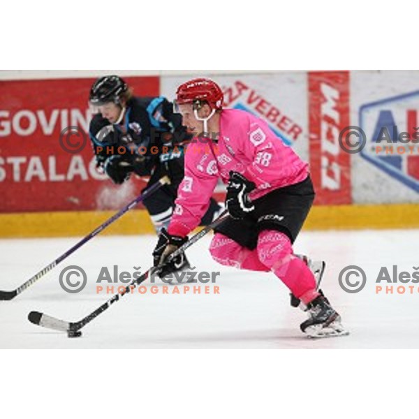 Blaz Tomazevic of SIJ Acroni Jesenice during Alps league ice-hockey match between SIJ Acroni Jesenice and Steel Wings Linz in Podmezakla Hall, Jesenice, Slovenia on October 10, 2020