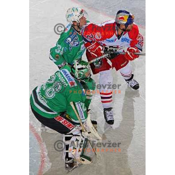 Mohoric (28), Petrilainen (38) and Johnson (23) at ice-hockey game ZM Olimpija-Red Bulls Salzburg in the Final of EBEL league, played in Ljubljana, Slovenia 20.3.2008. ZM Olimpija won the game 4:3 and leads series 3:1. Photo by Ales Fevzer 
