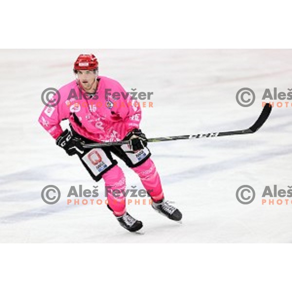 Nejc Stojan of SIJ Acroni Jesenice during Alps league ice-hockey match between SIJ Acroni Jesenice and Steel Wings Linz in Podmezakla Hall, Jesenice, Slovenia on October 10, 2020