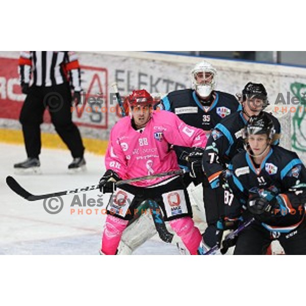 Ahmed Jakupovic of SIJ Acroni Jesenice during Alps league ice-hockey match between SIJ Acroni Jesenice and Steel Wings Linz in Podmezakla Hall, Jesenice, Slovenia on October 10, 2020