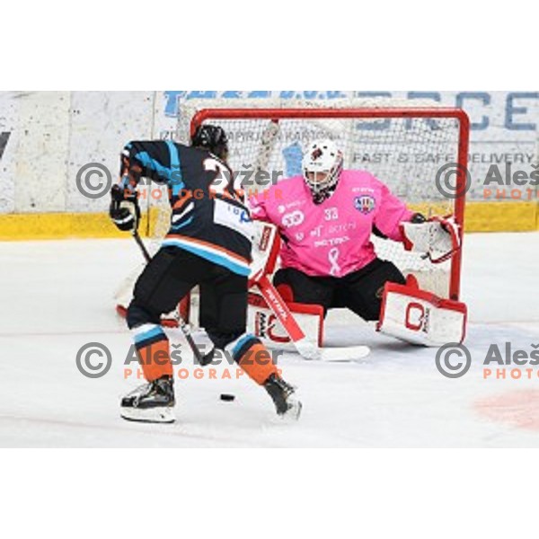 Zan Us of SIJ Acroni Jesenice during Alps league ice-hockey match between SIJ Acroni Jesenice and Steel Wings Linz in Podmezakla Hall, Jesenice, Slovenia on October 10, 2020
