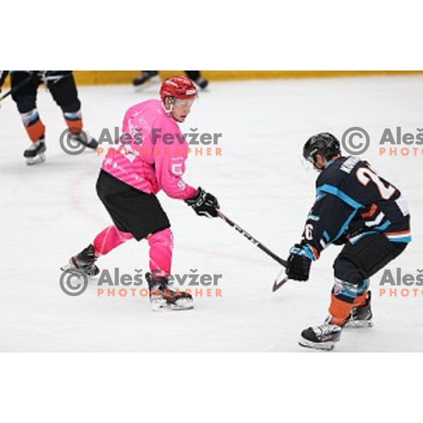 Blaz Tomazevic of SIJ Acroni Jesenice during Alps league ice-hockey match between SIJ Acroni Jesenice and Steel Wings Linz in Podmezakla Hall, Jesenice, Slovenia on October 10, 2020