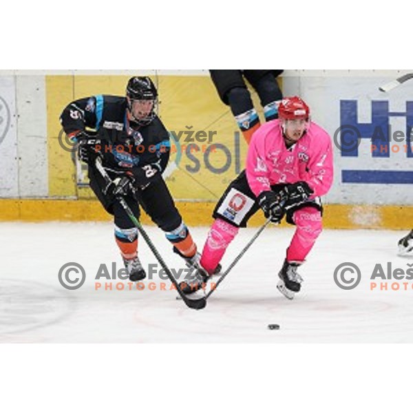 Ahmed Jakupovic of SIJ Acroni Jesenice during Alps league ice-hockey match between SIJ Acroni Jesenice and Steel Wings Linz in Podmezakla Hall, Jesenice, Slovenia on October 10, 2020