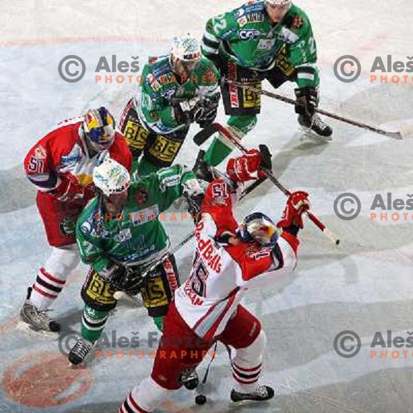 Trattnig 951), Elik (12) and MClean (15) at ice-hockey game ZM Olimpija-Red Bulls Salzburg in the Final of EBEL league, played in Ljubljana, Slovenia 20.3.2008. ZM Olimpija won the game 4:3 and leads series 3:1. Photo by Ales Fevzer 