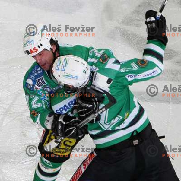 Elik (12) and Mitchell (2) celebrate at ice-hockey game ZM Olimpija-Red Bulls Salzburg in the Final of EBEL league, played in Ljubljana, Slovenia 20.3.2008. ZM Olimpija won the game 4:3 and leads series 3:1. Photo by Ales Fevzer 