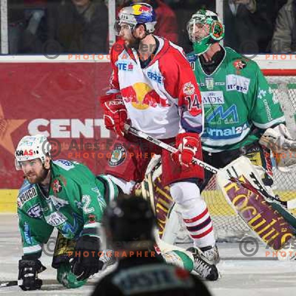 Mitchell (2), Green (14) and Mohoric at ice-hockey game ZM Olimpija-Red Bulls Salzburg in the Final of EBEL league, played in Ljubljana, Slovenia 20.3.2008. ZM Olimpija won the game 4:3 and leads series 3:1. Photo by Ales Fevzer 