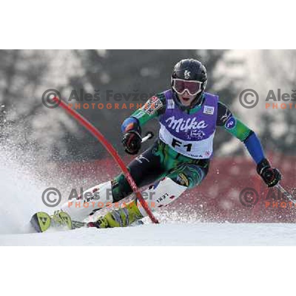 Kejzar as fore-runner of Audi FIS Alpine Ski World Cup Slalom in Kranjska gora, Slovenia on March 9, 2008
