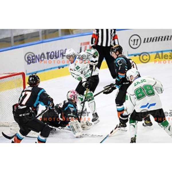 Jan Drozg of SZ Olimpija in action during Alps League ice-hockey match between SZ Olimpija and Steel Wings Linz in Ljubljana, Slovenia on October 17, 2020