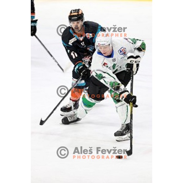 Jan Drozg of SZ Olimpija in action during Alps League ice-hockey match between SZ Olimpija and Steel Wings Linz in Ljubljana, Slovenia on October 17, 2020