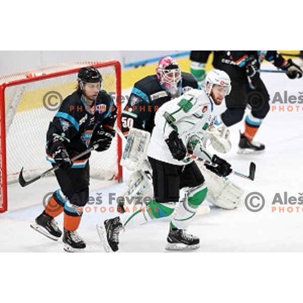 Miha Zajc of SZ Olimpija in action during Alps League ice-hockey match between SZ Olimpija and Steel Wings Linz in Ljubljana, Slovenia on October 17, 2020
