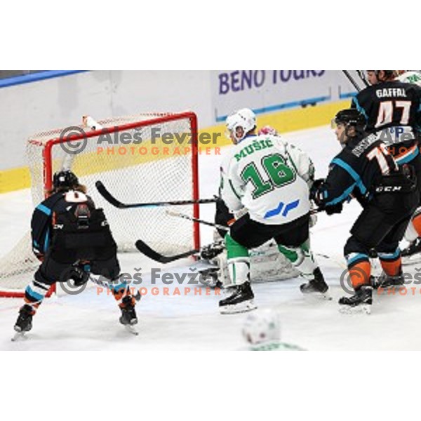Ales Music of SZ Olimpija in action during Alps League ice-hockey match between SZ Olimpija and Steel Wings Linz in Ljubljana, Slovenia on October 17, 2020