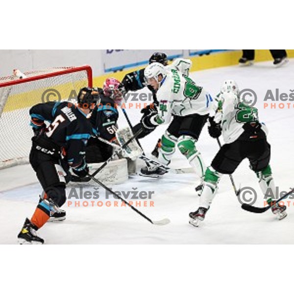 Tadej Cimzar of SZ Olimpija in action during Alps League ice-hockey match between SZ Olimpija and Steel Wings Linz in Ljubljana, Slovenia on October 17, 2020