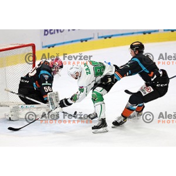 Miha Zajc of SZ Olimpija in action during Alps League ice-hockey match between SZ Olimpija and Steel Wings Linz in Ljubljana, Slovenia on October 17, 2020