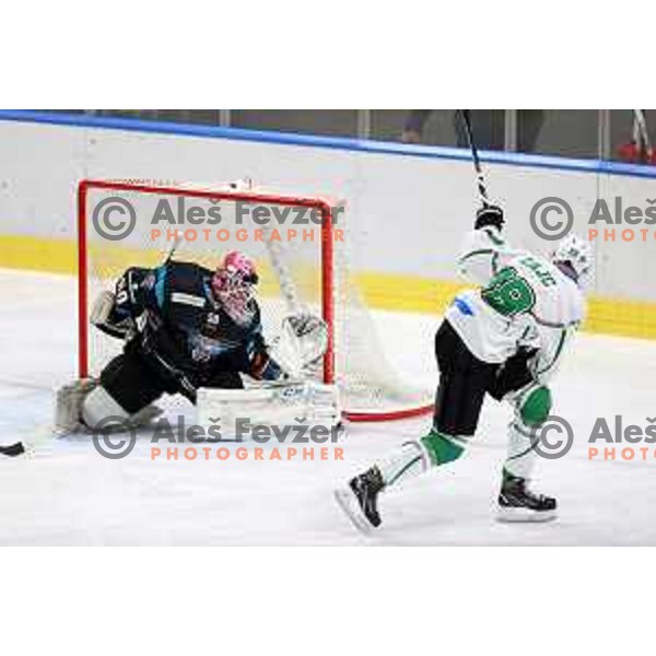 Miha Zajc of SZ Olimpija in action during Alps League ice-hockey match between SZ Olimpija and Steel Wings Linz in Ljubljana, Slovenia on October 17, 2020