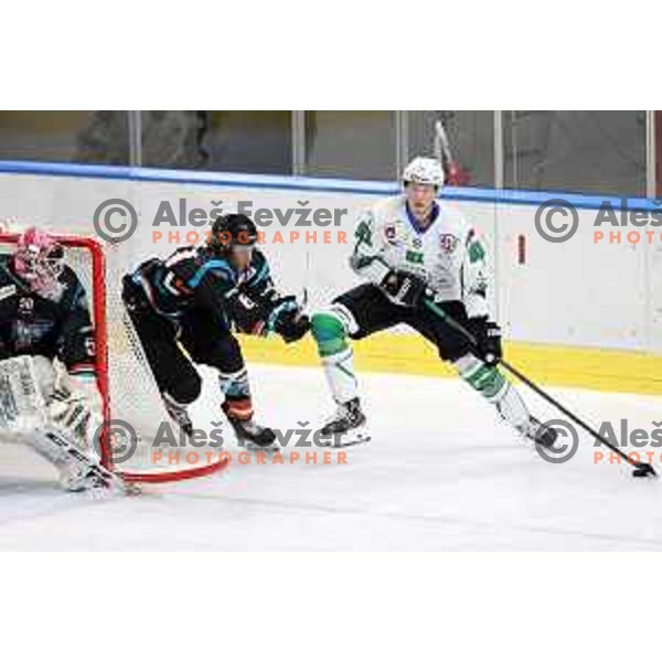 Tadej Cimzar of SZ Olimpija in action during Alps League ice-hockey match between SZ Olimpija and Steel Wings Linz in Ljubljana, Slovenia on October 17, 2020