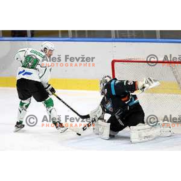 Jan Drozg of SZ Olimpija in action during Alps League ice-hockey match between SZ Olimpija and Steel Wings Linz in Ljubljana, Slovenia on October 17, 2020