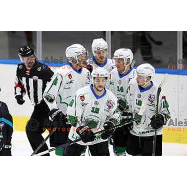 of SZ Olimpija in action during Alps League ice-hockey match between SZ Olimpija and Steel Wings Linz in Ljubljana, Slovenia on October 17, 2020