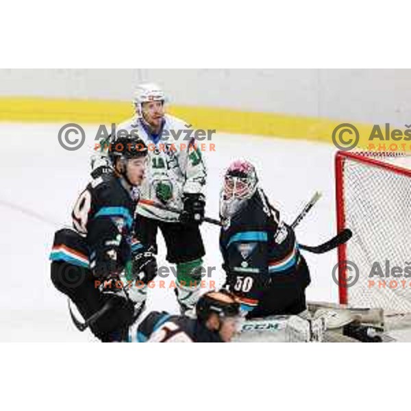 Ales Music of SZ Olimpija in action during Alps League ice-hockey match between SZ Olimpija and Steel Wings Linz in Ljubljana, Slovenia on October 17, 2020