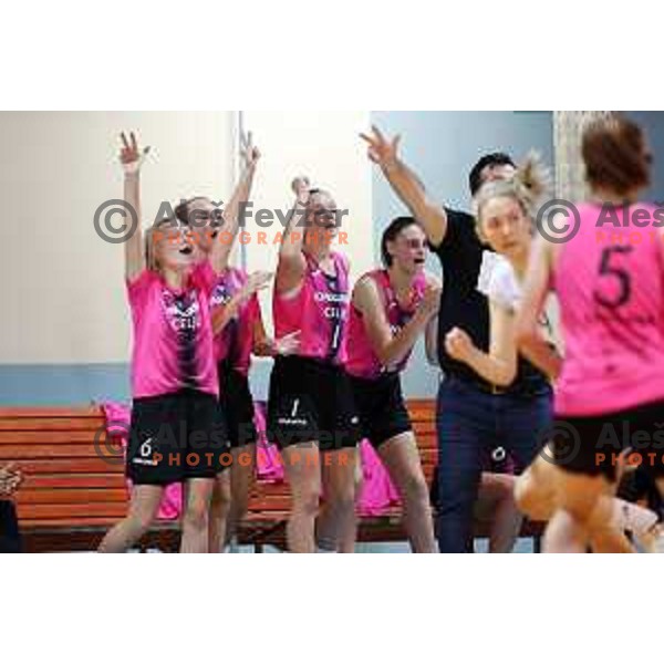 in action during 1.SKL Women basketball match between Jezica and Cinkarna Celje in Ljubljana, Slovenia on October 17, 2020