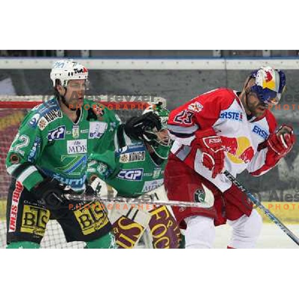 Kuznik (22) and Johnson (23) at fifth game of the Final of EBEL league between Red Bulls Salzburg and ZM Olimpija, played in Salzburg 23.3.2008. 