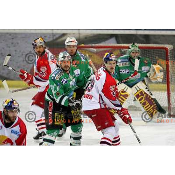 McCarthy (27) at fifth game of the Final of EBEL league between Red Bulls Salzburg and ZM Olimpija, played in Salzburg 23.3.2008. 