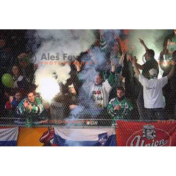 Green dragons at fifth game of the Final of EBEL league between Red Bulls Salzburg and ZM Olimpija, played in Salzburg 23.3.2008. 