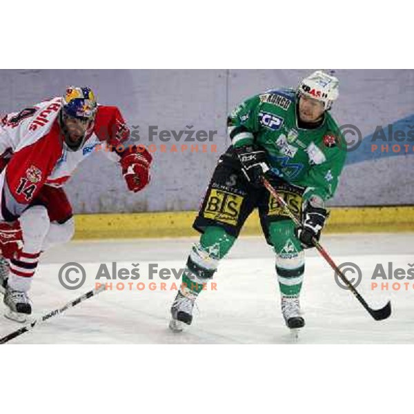 Green (14) and Muric (15) at fifth game of the Final of EBEL league between Red Bulls Salzburg and ZM Olimpija, played in Salzburg 23.3.2008. Red Bulls won 5:0 . Photo by Ales Fevzer 