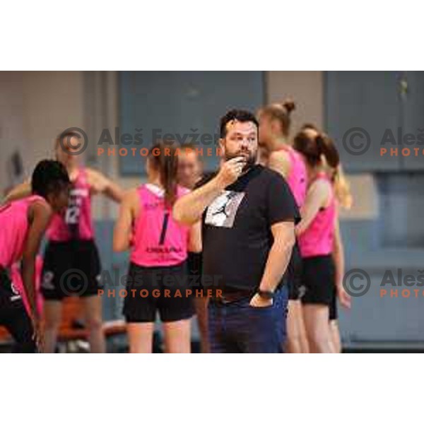 Damir Grgic in action during 1.SKL Women basketball match between Jezica and Cinkarna Celje in Ljubljana, Slovenia on October 17, 2020