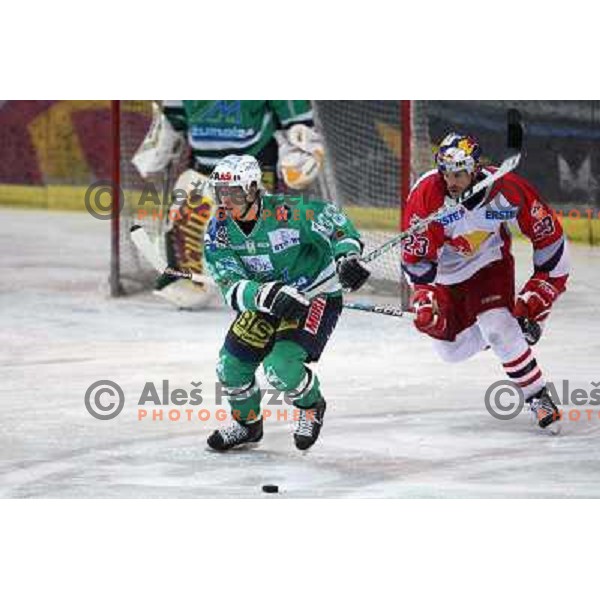 Petrilainen (38) and Johnson (23) at fifth game of the Final of EBEL league between Red Bulls Salzburg and ZM Olimpija, played in Salzburg 23.3.2008. Red Bulls won 5:0 . Photo by Ales Fevzer 