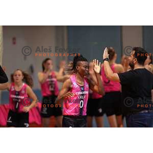 in action during 1.SKL Women basketball match between Jezica and Cinkarna Celje in Ljubljana, Slovenia on October 17, 2020