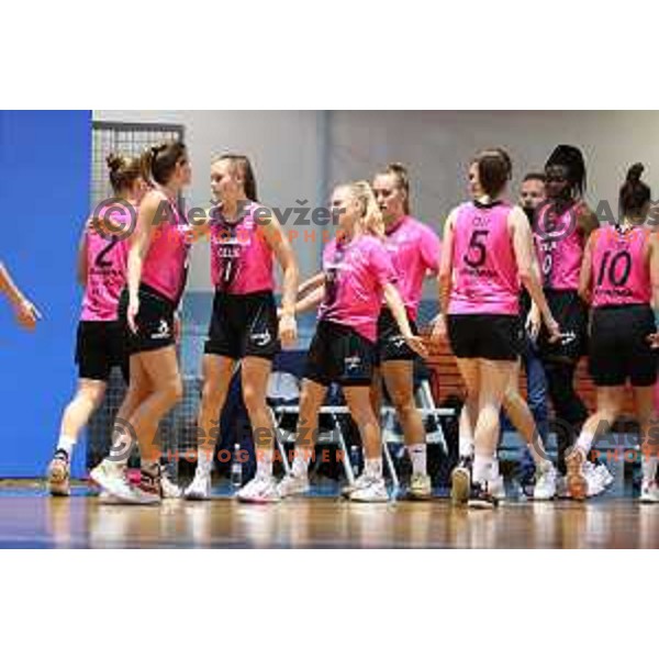 in action during 1.SKL Women basketball match between Jezica and Cinkarna Celje in Ljubljana, Slovenia on October 17, 2020