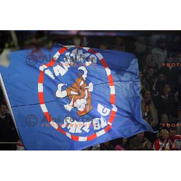Fanatics flag at fifth game of the Final of EBEL league between Red Bulls Salzburg and ZM Olimpija, played in Salzburg 23.3.2008. Red Bulls won 5:0 . Photo by Ales Fevzer 