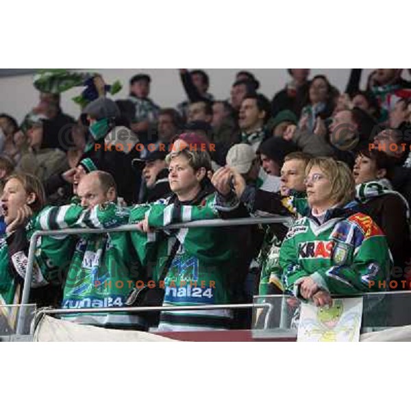 ZM Olimpija fans at fifth game of the Final of EBEL league between Red Bulls Salzburg and ZM Olimpija, played in Salzburg 23.3.2008. Red Bulls won 5:0 . Photo by Ales Fevzer 