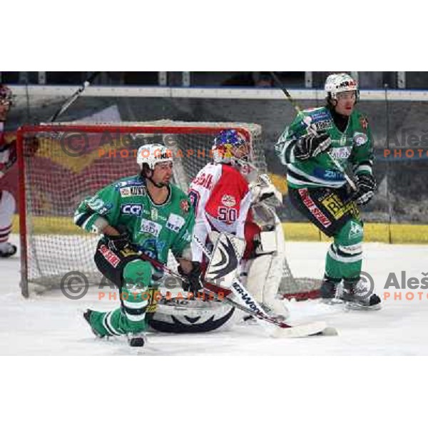 Yarema (10), Diviis and Avgustincic at fifth game of the Final of EBEL league between Red Bulls Salzburg and ZM Olimpija, played in Salzburg 23.3.2008. Red Bulls won 5:0 . Photo by Ales Fevzer 