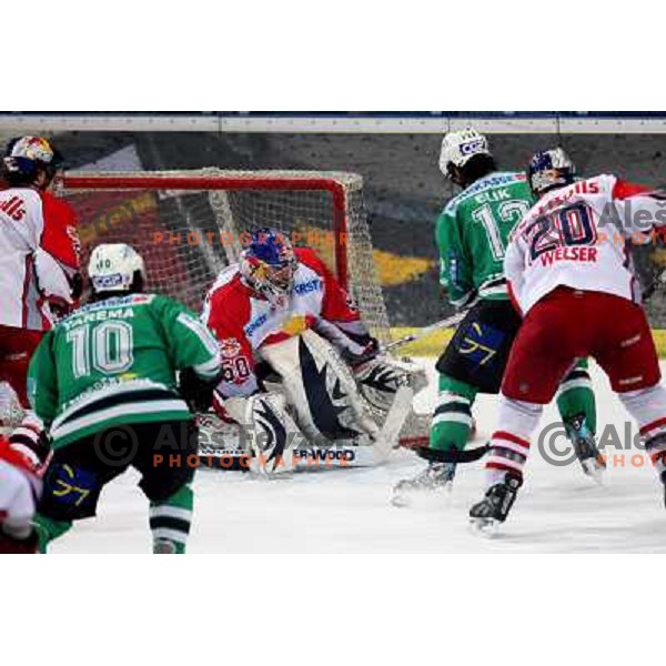 Divis (50), Elik and Welser at fifth game of the Final of EBEL league between Red Bulls Salzburg and ZM Olimpija, played in Salzburg 23.3.2008. Red Bulls won 5:0 . Photo by Ales Fevzer 