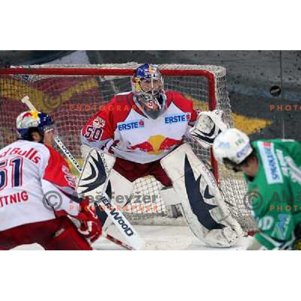 Divis (50) at fifth game of the Final of EBEL league between Red Bulls Salzburg and ZM Olimpija, played in Salzburg 23.3.2008. Red Bulls won 5:0 . Photo by Ales Fevzer 