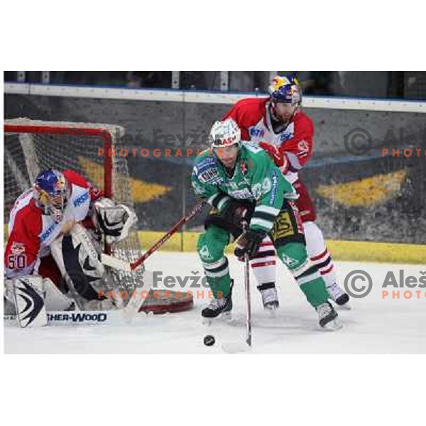 Divis , Felsner (39) and Lynch (7) at fifth game of the Final of EBEL league between Red Bulls Salzburg and ZM Olimpija, played in Salzburg 23.3.2008. Red Bulls won 5:0 . Photo by Ales Fevzer 