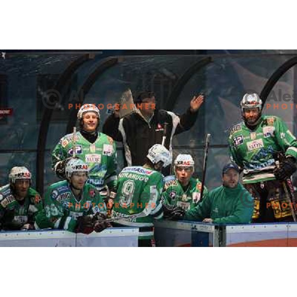 ZM Olimpija bench at fifth game of the Final of EBEL league between Red Bulls Salzburg and ZM Olimpija, played in Salzburg 23.3.2008. Red Bulls won 5:0 . Photo by Ales Fevzer 
