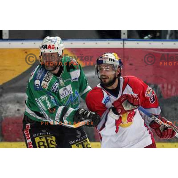 Zupancic and Koch (9) at fifth game of the Final of EBEL league between Red Bulls Salzburg and ZM Olimpija, played in Salzburg 23.3.2008. Red Bulls won 5:0 . Photo by Ales Fevzer 