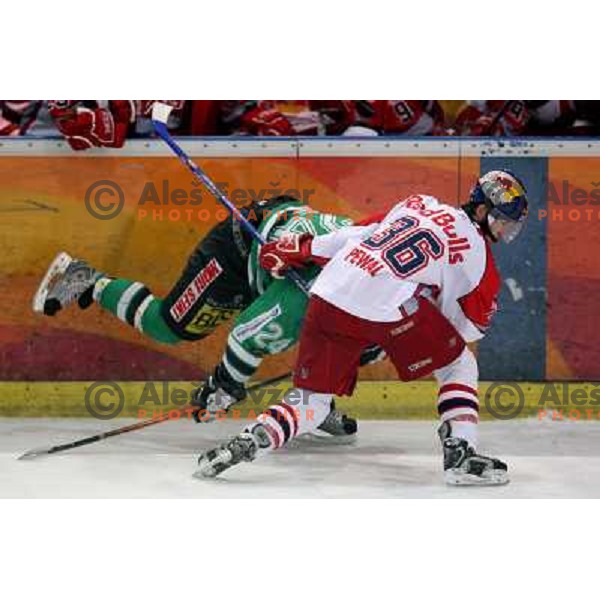 Pewal stops Vnuk at fifth game of the Final of EBEL league between Red Bulls Salzburg and ZM Olimpija, played in Salzburg 23.3.2008. Red Bulls won 5:0 . Photo by Ales Fevzer 