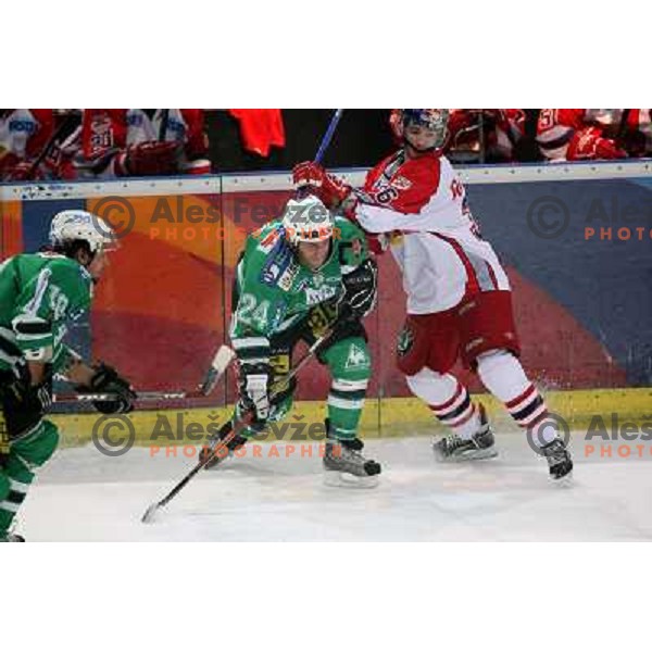 Vnuk (24) and Pewal at fifth game of the Final of EBEL league between Red Bulls Salzburg and ZM Olimpija, played in Salzburg 23.3.2008. Red Bulls won 5:0 . Photo by Ales Fevzer 
