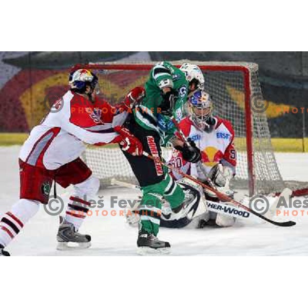 Yarema in front of Divis at fifth game of the Final of EBEL league between Red Bulls Salzburg and ZM Olimpija, played in Salzburg 23.3.2008. Red Bulls won 5:0 . Photo by Ales Fevzer 
