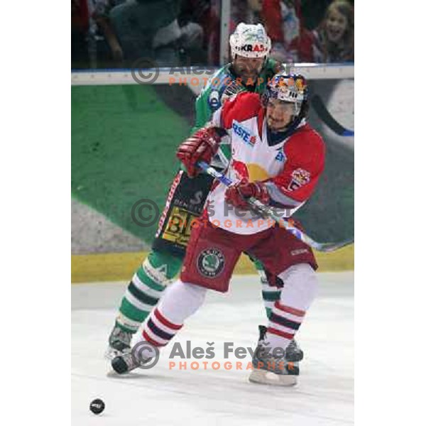 Zupancic and Schwab (5) at fifth game of the Final of EBEL league between Red Bulls Salzburg and ZM Olimpija, played in Salzburg 23.3.2008. Red Bulls won 5:0 . Photo by Ales Fevzer 