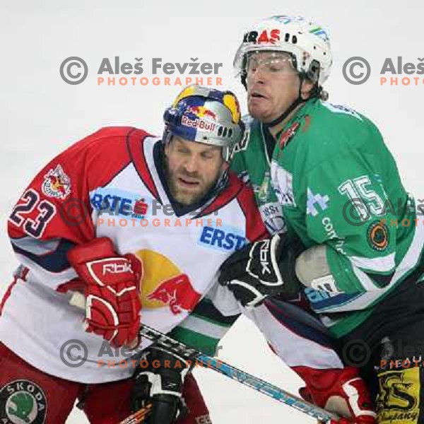 Johnson (23) and Muric (15) at fifth game of the Final of EBEL league between Red Bulls Salzburg and ZM Olimpija, played in Salzburg 23.3.2008. Red Bulls won 5:0 . Photo by Ales Fevzer 